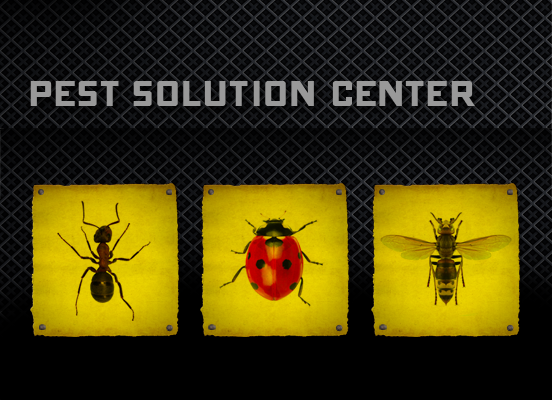 Pest Solution Center